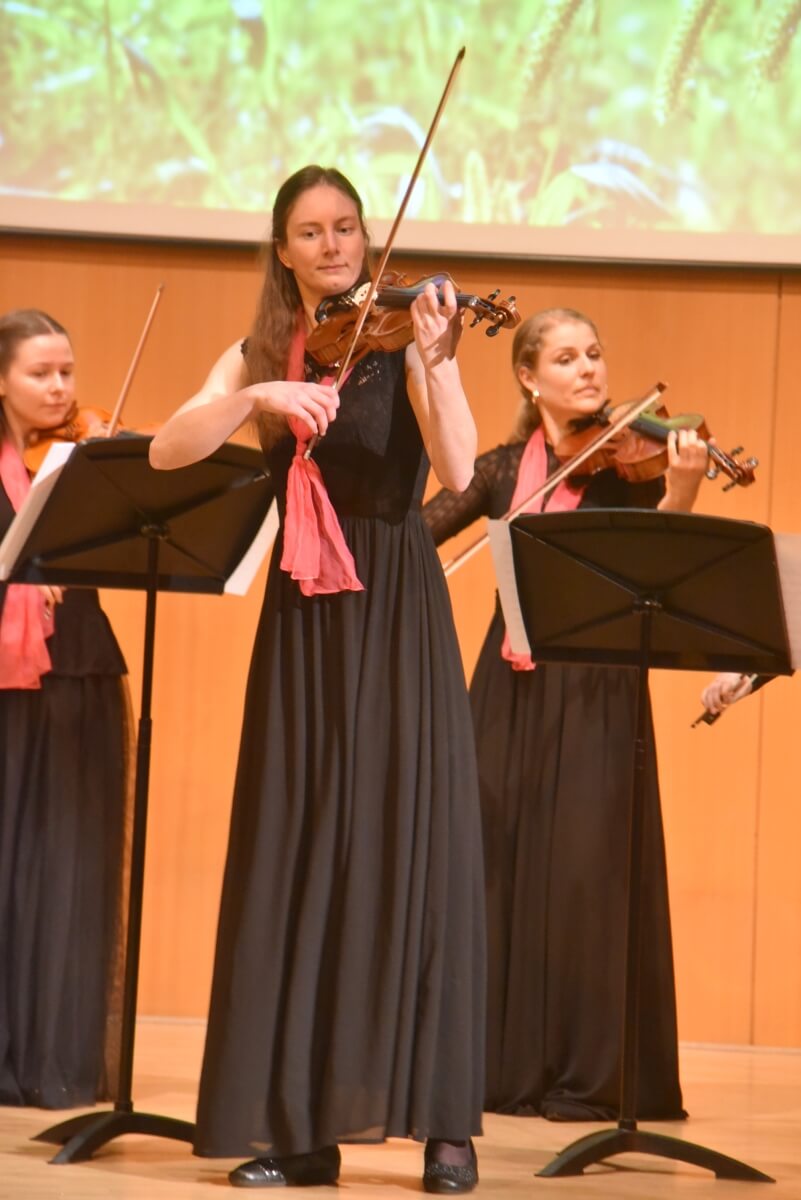 Jubiläumskonzert Violinissimo, 27.04.2024 Vorschaubild