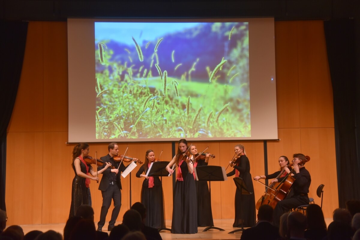 Jubiläumskonzert Violinissimo, 27.04.2024 Vorschaubild